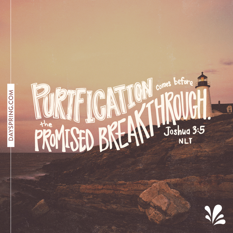 Matthew 5 3 5 Nlt